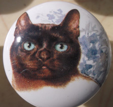 Cabinet Knobs Monica Heller Cole Absynian cat - £4.06 GBP