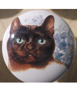 Cabinet Knobs Monica Heller Cole Absynian cat - $7.12 CAD