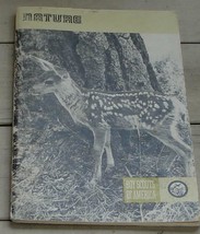 Vintage Boy Scout Booklet, Nature, Merit Badge Series 1976 GOOD COND - $5.93