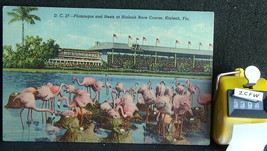 STD Vintage Flamingoes and Nests Hialeah Race Course Posted Miami 1950 L... - £1.09 GBP