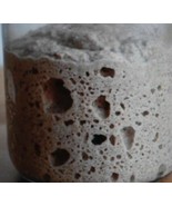 ORIGINAL WHARF SAN FRANCISCO SOURDOUGH STARTER yeast bread flour VERY AC... - $12.00