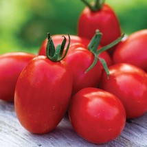 Thai Grape Tomato Seeds Vegetable Seeds Seed Packets USA Fast Shipping - £14.75 GBP