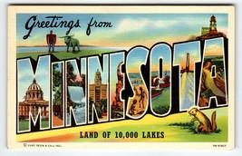 Greetings From Minnesota Large Letter Postcard Land Of 10,000 Lakes Unused - £6.23 GBP