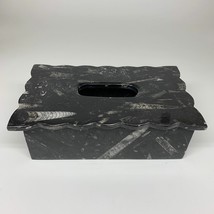2.33kg, 10.5&quot;x6.25&quot; Black Fossils Orthoceras Tissue Paper Box Cover @Morocco,F44 - £79.92 GBP