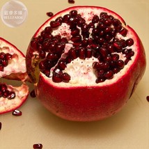 NEW BELLFARM Giant Pomegranate Seeds, 20 Seeds, Professional Pack, tasty organic - £5.72 GBP