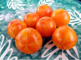 Starfire Isis - Perhaps the world&#39;s most beautiful cherry tomato, J&amp;L va... - £3.34 GBP