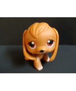 Littlest PET SHOP Beagle Dog 16 Brown Caramel Puppy Purple Red Eyes LPS ... - €8,15 EUR