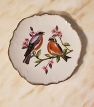 Decorative Porcelain Plate Eastern Bluebirds And Flowers Japan Wall Decor 8&quot; - £6.13 GBP