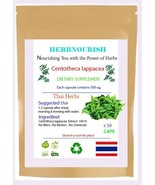 Centotheca lappacea capsule Balances Body Systems 50x500 mg - $184.14 MXN