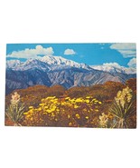 Postcard Springtime On The Desert Flowers Chrome Posted - $6.83 CAD