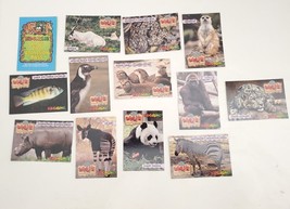 Complete Set of 12 Kid Cuisine KC Wild Life Collectibles Trading Cards - £11.67 GBP