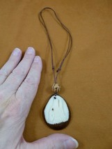 tne-wol-773b) white howling Wolf TAGUA NUT Necklace Carving Vegetable wild dogs - £16.91 GBP