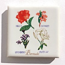 Bermuda Souvenir Magnet Refrigerator Fridge Magnet Tourist Travel Flower... - £6.26 GBP