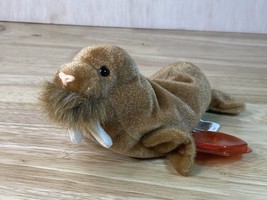 Paul the Walrus – Ty Beanie Baby - Excellent Clean w/hang tag protector - $7.45
