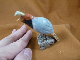 (Y-BIR-QU-20) Quail blue red black bird gemstone STONE figurine Peru quails - $515.88 MXN