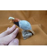 (Y-BIR-QU-20) Quail blue red black bird gemstone STONE figurine Peru quails - $515.88 MXN
