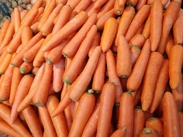 3000 Imperator 58 Carrot Seeds Non-Gmo Heirloom Seeds Fresh Garden - £6.15 GBP