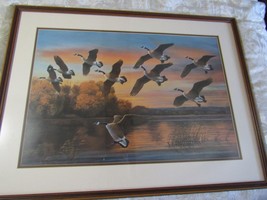 Beautiful Framed &amp; Matted C E Pearson Picture Canadian Geese at Sunset 1... - £89.07 GBP