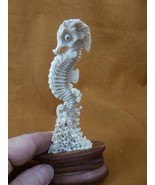 Seah-4 little Seahorse tail around coral of shed ANTLER figurine Bali de... - £54.41 GBP