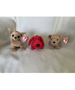 Ty Rover Tiny Tuffy Trio Crown Jewel Ultra Rare Tier # 5 Rarities + More MwmtMq  - $25,000.00