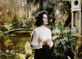 Elizabeth Taylor 5x7 inch real press photograph movie scene 1950&#39;s - £4.59 GBP