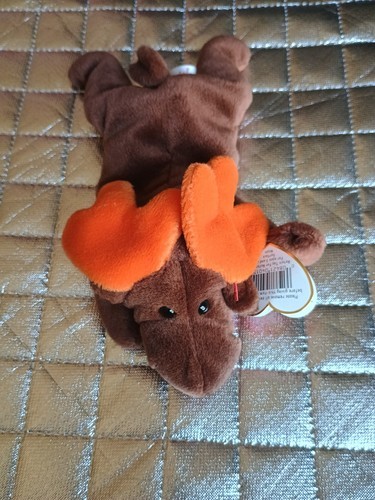 CHOCOLATE -The Moose ✳︎RARE ERRORS✳︎ - Ty Beanie Babies  1993 Item image 9