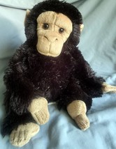 Aurora World 12&quot; Chimp Chimpanzee Dark Brown Plush Monkey See Pictures - £9.24 GBP