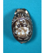 Vintage Tiger Cowry Seashell Scrimshaw Carved Cancer Perfect Cypraea Tigris - $11.88