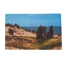 Postcard Indiana Dunes State Park Chesterton Indiana Chrome Unposted - £7.04 GBP