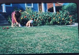 VTG 1952 Kodak Kodachrome Slide Woman Child In Flower Garden Retro Down ... - $9.99