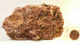 #2584 Wulfenite on matrix [large piece] Red Cloud Mine, Arizona  - £20.04 GBP