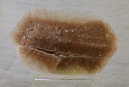 #2734 Hourglass Selenite - Jet, Oklahoma  - $7.00