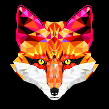 Fox Face Cross Stitch Pattern***LOOK*** - $2.95
