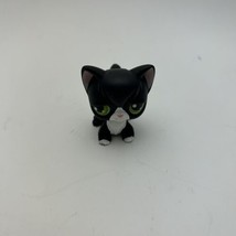 Black Tuxedo Littlest Pet Shop RARE - £14.47 GBP