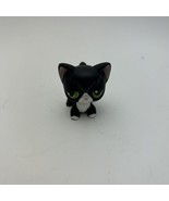 Black Tuxedo Littlest Pet Shop RARE - £14.58 GBP