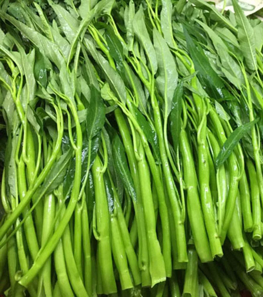50+ Thai Water Spinach seeds Ong Choy Kangkong Kong Xin Cai Garden Veget... - €21,33 EUR