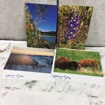 Wildlife Photography Blank Inside Notecards Lot Of 4 W/Thinking Of You Envelopes - $9.89