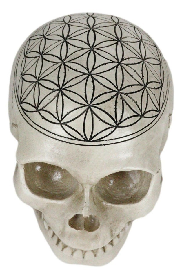 Gothic Sacred Geometry Flower Of Life Creation Cosmic Energy Skull Figurine Item image 2
