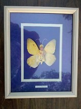 5pp99 Anne Geddes Print, Framed, &quot;Fiona Butterfly&quot;, Very Good Condition - £44.72 GBP