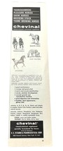 1966 Chevinal Horse Vitamin Vintage Print Ad Mineral Supplement - $9.97