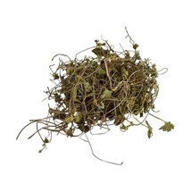 Brahmi Booti - Bacopa Monnieri Linn - Saraswati Leaves - Indian Pennywort - $21.28+