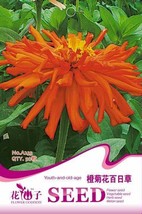 Orange Zinnia Angustifolia Flower, 30 Seeds D - $10.35