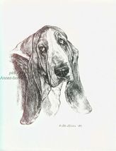 #335 BASSET HOUND portrait dog art print * Pen and ink drawing by Jan Je... - $12.50