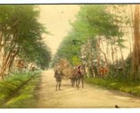 Horse Drawn Wagon Postcard Japan 1900&#39;s Hand Colored - $11.88