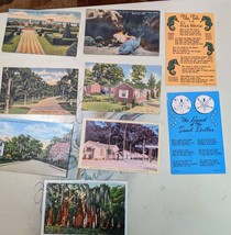 11 Vintage postcards from Fl and SC #6 - £10.23 GBP