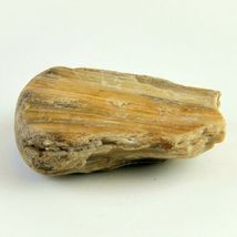 Petrified Wood South Dakota 14.1 oz 4” x 3" x 1" Stone Fossil Wooden Rock image 5