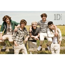 One Direction 1D Summer Poster Official Brand New Harry Zayn Niall Liam ... - $12.00