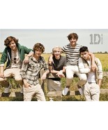 One Direction 1D Summer Poster Official Brand New Harry Zayn Niall Liam ... - $16.44 CAD