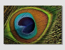 Peacock Feather Abstract Canvas Print Abstract Wall Art Peacock Print Abstract A - £39.16 GBP