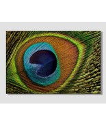 Peacock Feather Abstract Canvas Print Abstract Wall Art Peacock Print Abstract A - $49.00